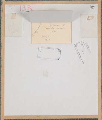 Радимов Павел Александрович.  Девушка в красном платке